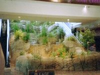 photos 2000-200900439